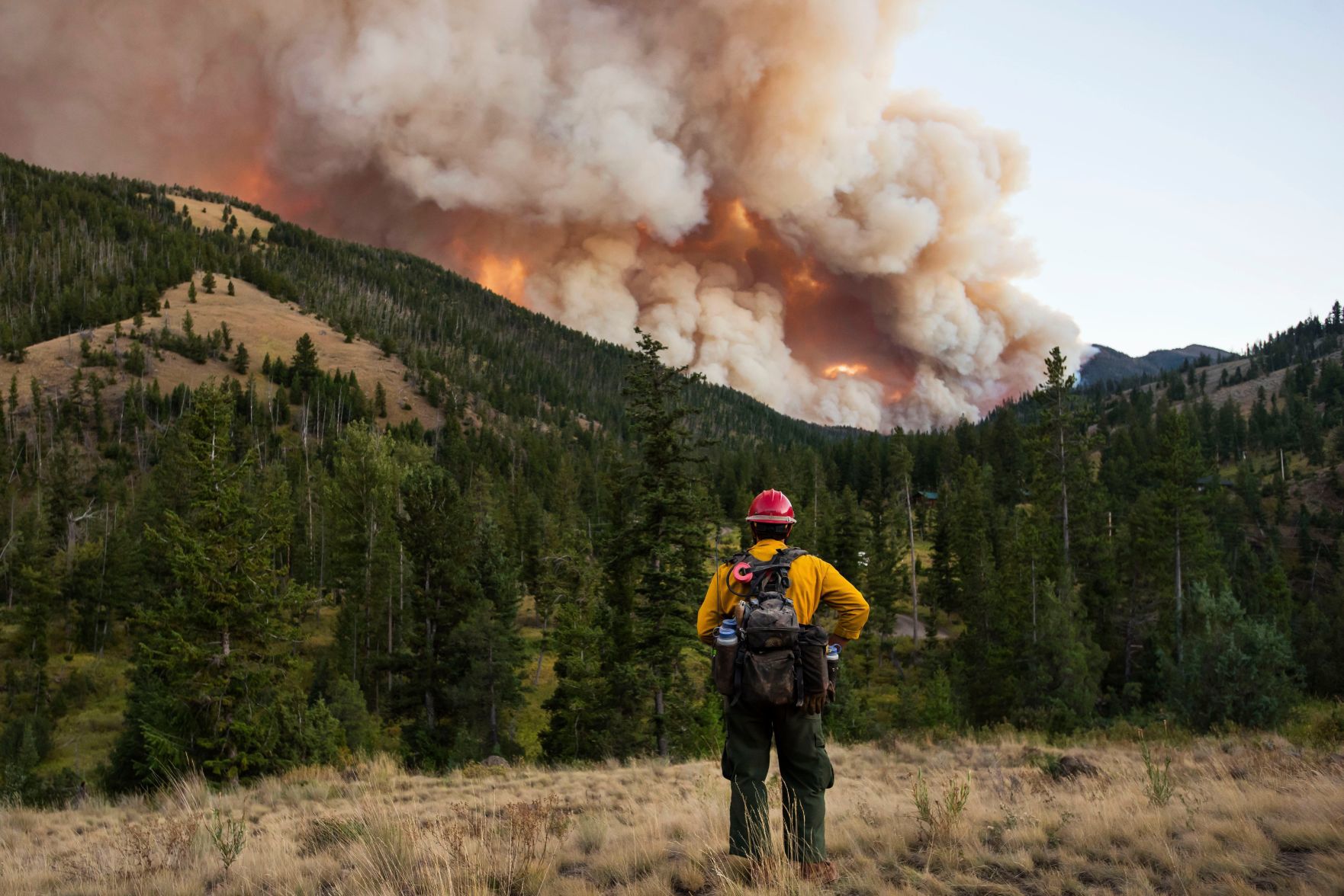 Fishhawk Fire